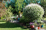 tl_files/garten/gaerten 2022/kuhlmann-lit.jpg